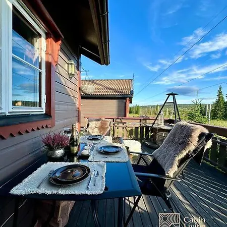 Cozy In Skeikampen - Close To Hafjell! Holiday home *